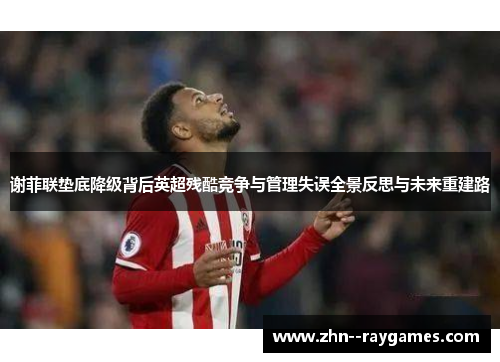 谢菲联垫底降级背后英超残酷竞争与管理失误全景反思与未来重建路