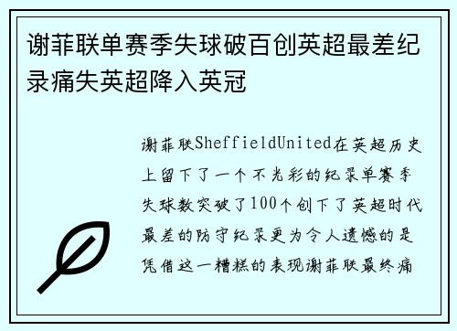 谢菲联单赛季失球破百创英超最差纪录痛失英超降入英冠 谢菲联单赛季失球破百创英超最差纪录痛失英超降入英冠